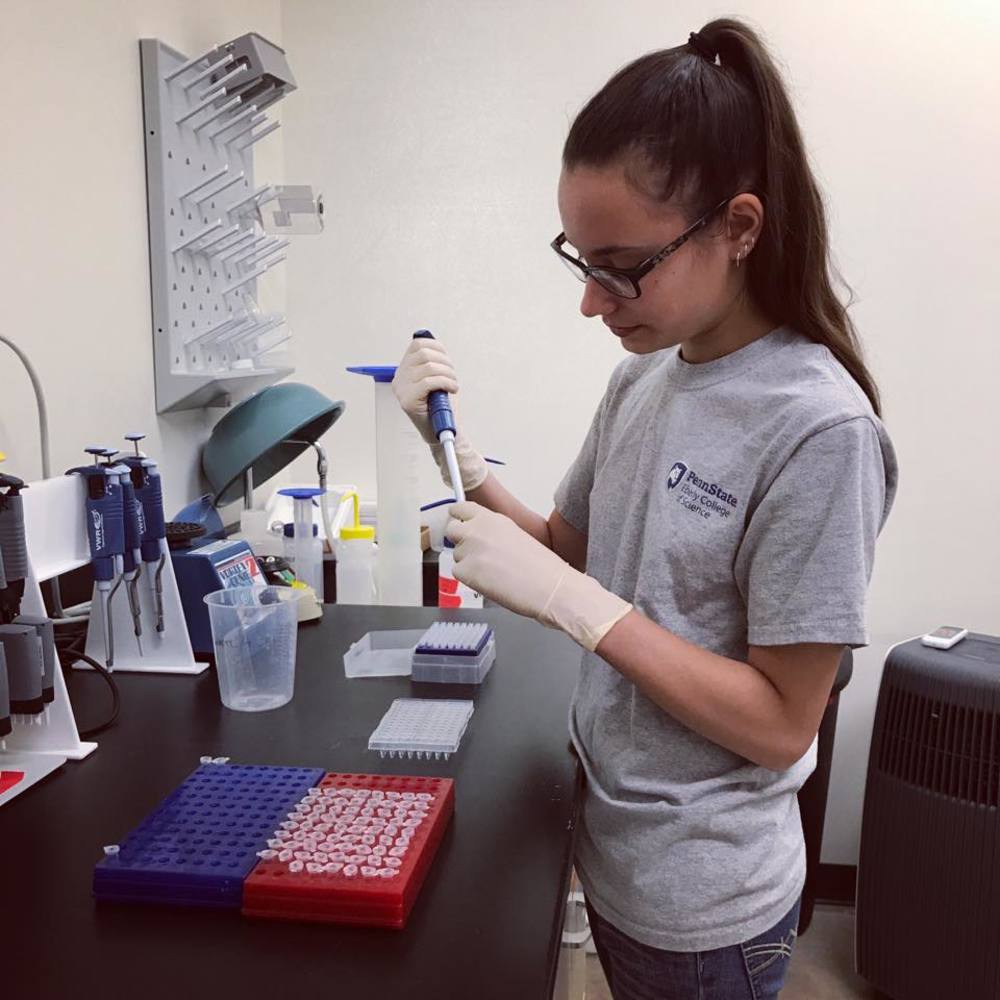 Meet your Posher, Emmy